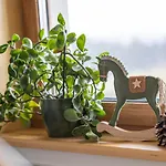 Sielanka W Gorach * Gliczarow Gorny