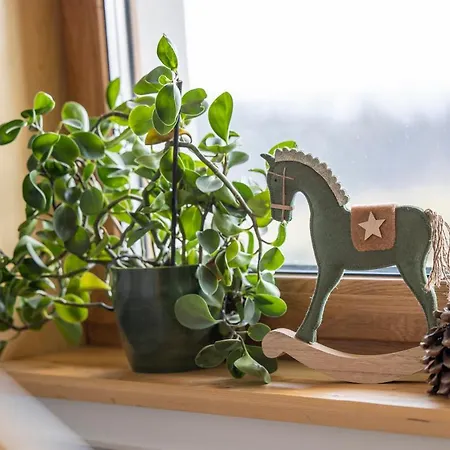 Sielanka W Gorach * Gliczarow Gorny