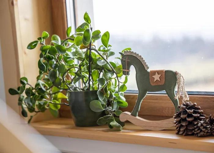 Sielanka W Gorach * Gliczarow Gorny